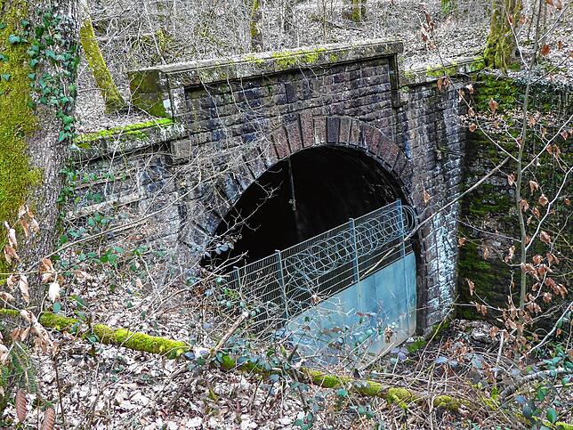 Fahrnauer Tunnel