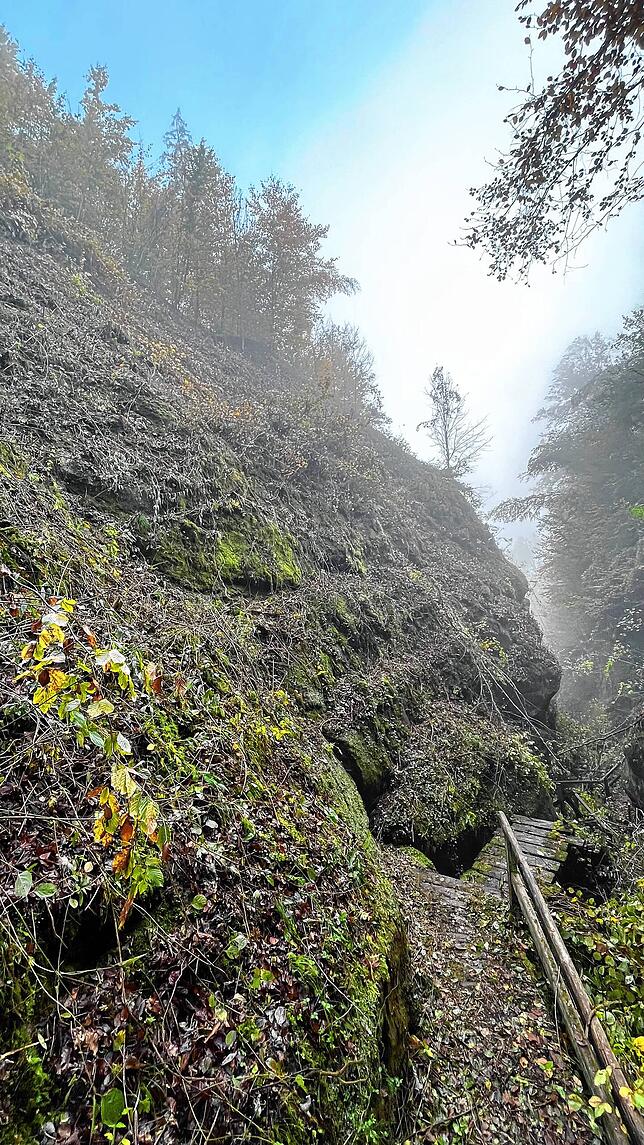 Der Blick durch die Schlucht in Richtung Bodensee. Der neue Steg wird in diesem Bereich künftig vier Meter höher verlaufen.