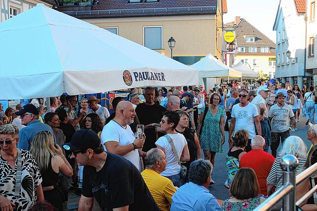 Zahlreiche Menschen strömten am Wochenende und am Montag beim Stadtfest durch die Stockacher Oberstadt. Kulturamtsleiterin Corinna ...
