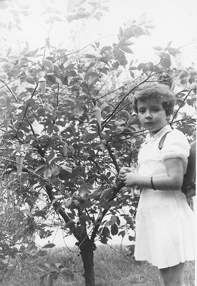 Eine DDR-Spezialität: der Zuckertütenbaum.