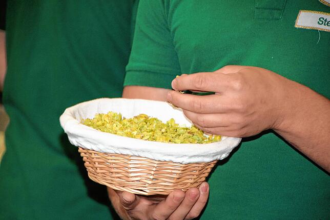 Waldhausbier wird aus Naturhopfen hergestellt. Braumeister Steffen Müller hält ein Körbchen mit Hopfendolden in der Hand.