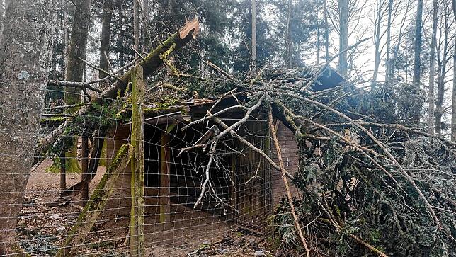 Sturmschaden: Die Futterhütte im Damhirschgehege muss aufwändig instandgesetzt werden.