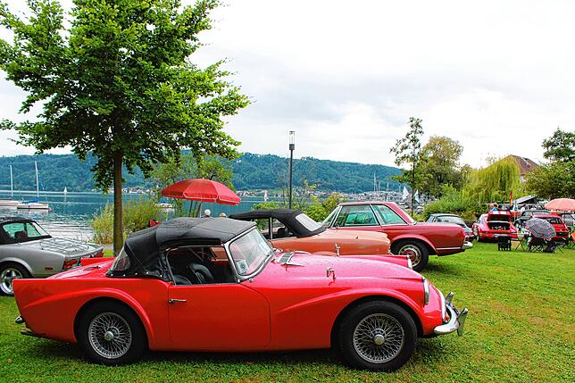 Bild 9: Bilder vom Häfler Seefest am Samstag