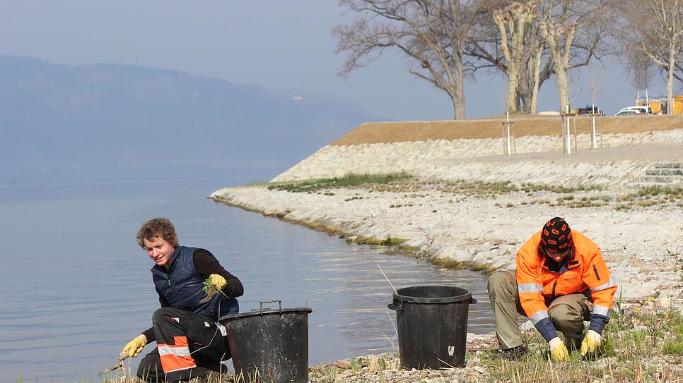 Ronja Hegner (li.) und Yvonne Weber von der Stadtgärtnerei Überlingen beim Unkrautzupfen im Uferpark, der 2020 öffnet. Bild: Stefan Hilser