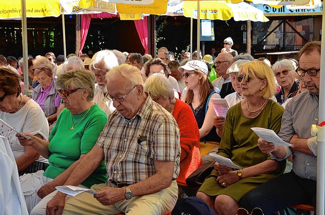 Bild 28: So war es auf dem Markdorfer Stadtfest &ndash; Teil 1