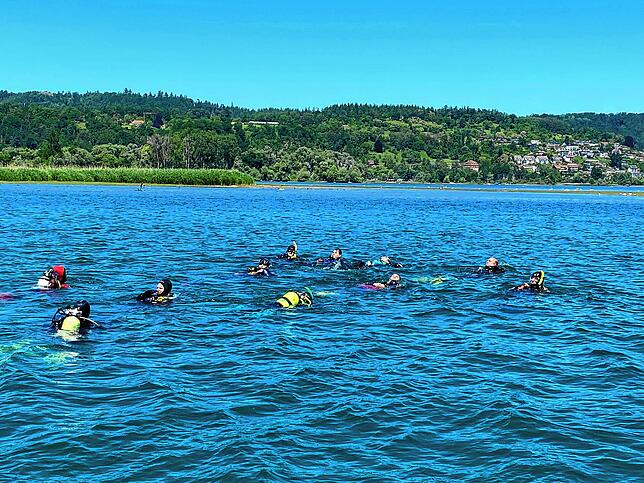 Teils auf dem Rücken, teils im Brustschwimmstil arbeiten sich die künftigen Tauchlehrer durch den Bodensee, bis die Prüfer entscheiden, ...