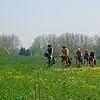 Vertreter der Fahrradclubs kritisieren, dass auf Verbindungsstraßen wie dieser Radfahrer häufig von rücksichtslosen Autofahrern bedrängt ...