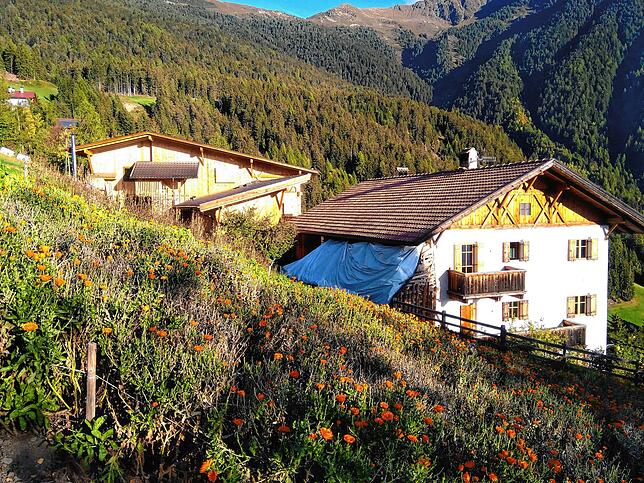 Blumendomizil: Die Abendsonne scheint auf den Schmiedthof; im Vordergrund wachsen Ringelblumen.