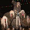 Akrobatische Hochstapler beim Nachtumzug: Die Albgaischter Albbruck wollten hoch hinaus. Bilder: Peter Schütz