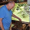 Werner Vooren aus Friedrichshafen, Vorsitzender des Imkervereins Tettnang-Friedrichshafen, an einem seiner Bienenstöcke in Immenstaad. ...