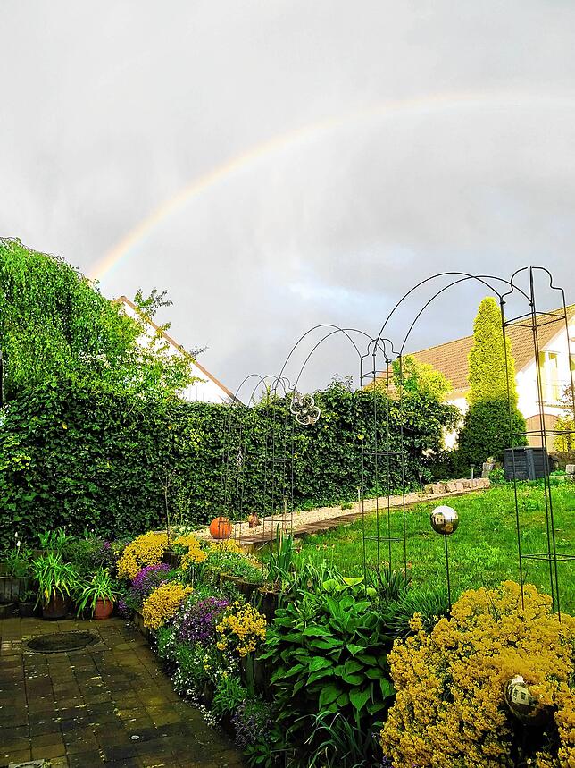 Auf Regen folgt Sonne. Ein Bild im richtigen Moment im Garten von Renate Schmidt/Bad Saulgau