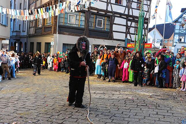 Bild 13: Bilder vom Umzug in Meßkirch (4)