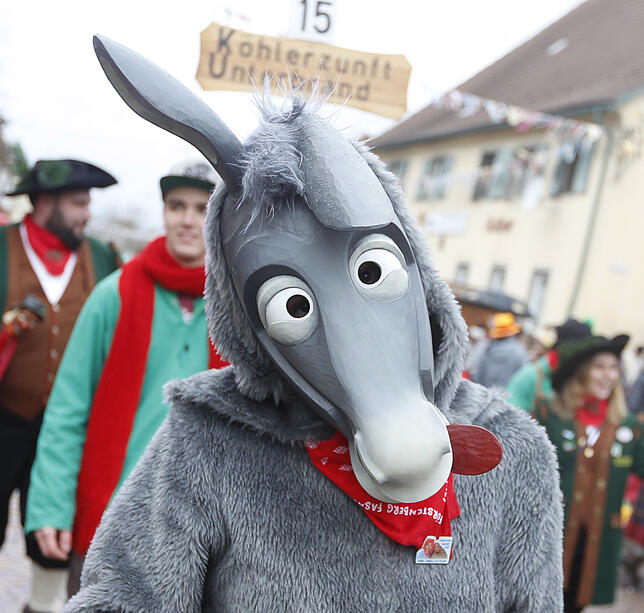 Bild 19: Bilder vom Kinderumzug in Donaueschingen-Pfohren