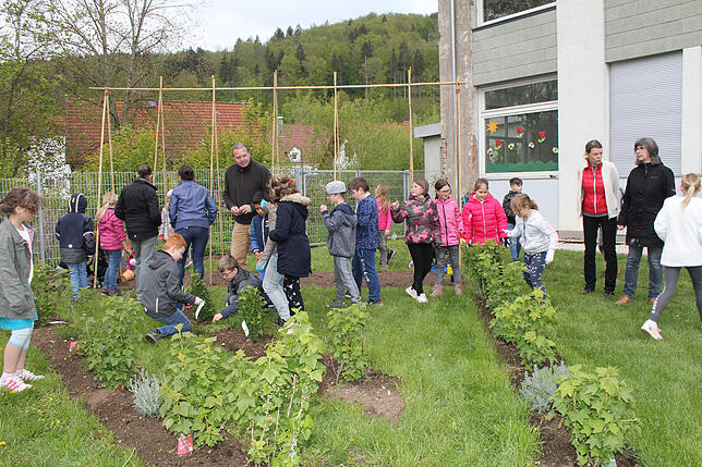 Gemeinsam mit Gärtnermeister Alexander Zonta von der Gemeindegärtnerei pflanzen und pflegen die Schüler der Schlossschule und der ...