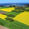 Ein gelb-grünes Muster in Richtung Neubaugebiet Bräunlingen. Der schönste Blick auf die Rapsblüte zeigt sich aus der Vogelperspektive.