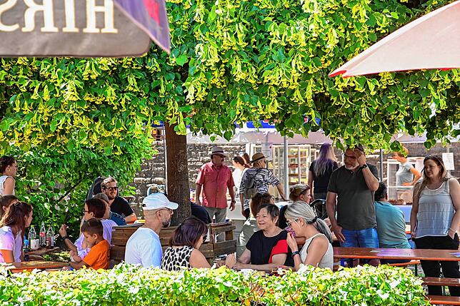 Bild 12: Tausende feiern beim Stadtfest