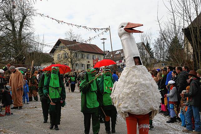 Bild 48: Die schönsten Bilder vom Jubiläumsumzug der Sunnelöscherzunft