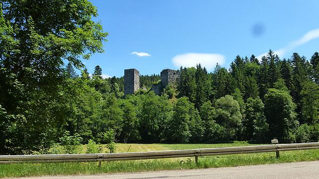Zwischen hochgewachsenen Waldzonen sind sie im Steinatal meist nur kurz zu sehen, wenn man mit dem Auto durchfährt.