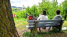 Ein Paar mit Kind sitzt bei Meckenbeuren auf einer Anhöhe neben einem Baum und schaut Richtung Alpen. Werden immer mehr dieser ...