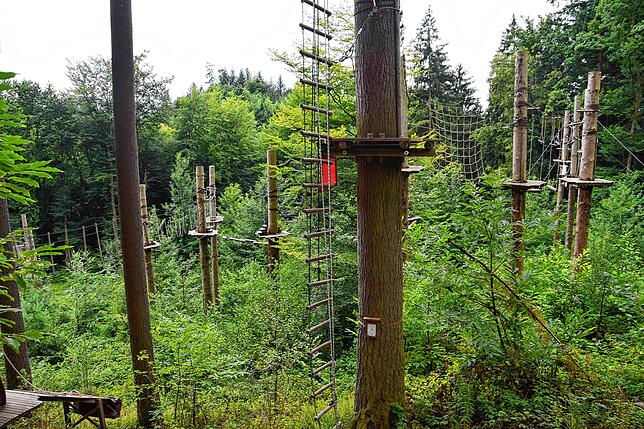 Kahlfraß: Vom Borkenkäfer befallen sind die abgestockten Fichten des Kletterwaldes Hochempor beim Bergsee in Bad Säckingen.