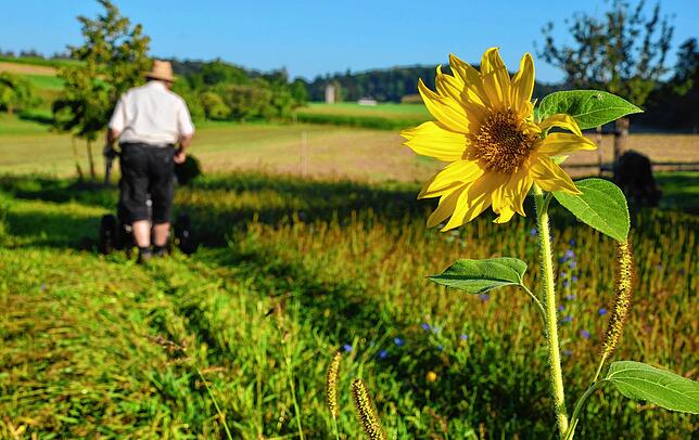 Und immer wieder bleiben besonders schöne Blumen-Exemplare stehen.