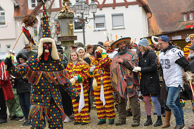 Bild 39: Tausende Hästräger und Musiker in Pfullendorf: Bilder vom Umzug (4)