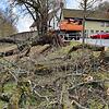 Mitarbeiter des Bräunlinger Bauhofs räumen am Friedhof einen großen Baum zur Seite, der vom Wind entwurzelt worden ist.
