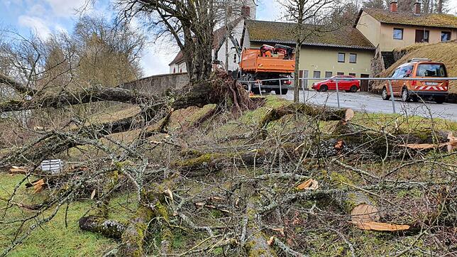 Mitarbeiter des Bräunlinger Bauhofs räumen am Friedhof einen großen Baum zur Seite, der vom Wind entwurzelt worden ist.