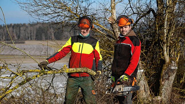 Günter Nosbüsch (links) und Tristan Dellers beim Pflegeschnitt einer Weide. Dadurch soll der Lebensraum Feldhecke erhalten bleiben. ...