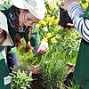 Minigärtner pflanzen Kräuter: Die gemeinnützige Initiative Europa-Minigärtner möchte Kinder für die Natur und das Gärtnern begeistern.