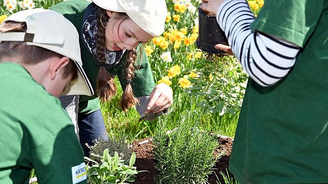 Minigärtner pflanzen Kräuter: Die gemeinnützige Initiative Europa-Minigärtner möchte Kinder für die Natur und das Gärtnern begeistern.