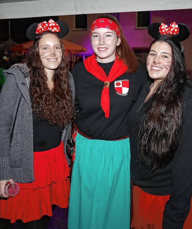 Bild 31: Bilder des Narrentreffens in Donaueschingen Pfohren (2)