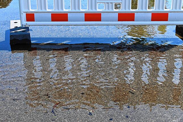 Wer genau hinschaut, kann die kleinen dunklen Fischchen erkennen, die im Hochwasser auf dem Weg schwimmen.