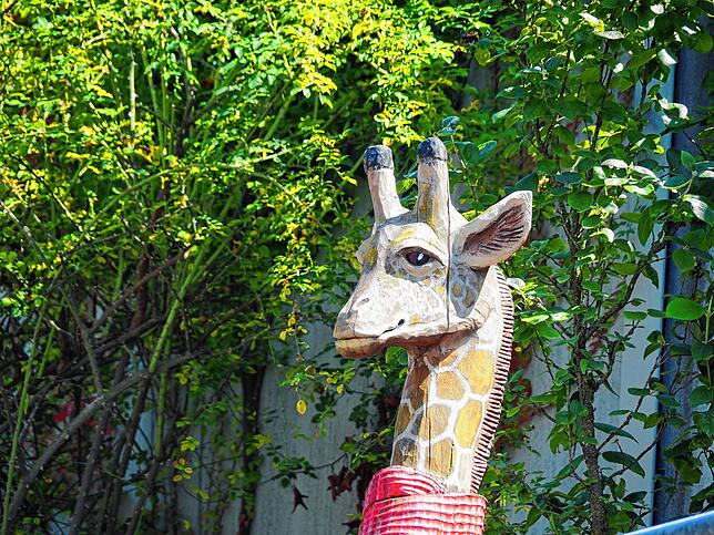 Diese Giraffe begrüßt am Bahndamm in Jestetten die Passanten.