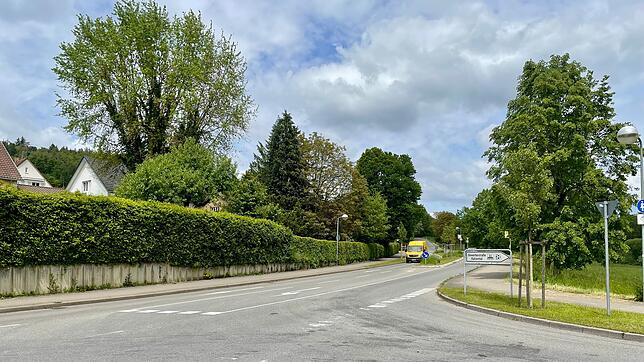 An den Gottmadinger Ortseingängen, wie hier von Hilzingen kommend, ist die Gefahr am größten, dass Autofahrer noch zu schnell unterwegs ...