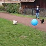 Snoopy (links), Frauchen Sonja Mansfeldt und Hundefreundin Sheela in Aktion auf dem Seesportplatz. Diese Momente sind Vergangenheit.