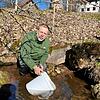 Tilo Päßler von der Anglergesellschaft Villingen beim Einsetzen der Bachforellenbrut in die Kirnach.