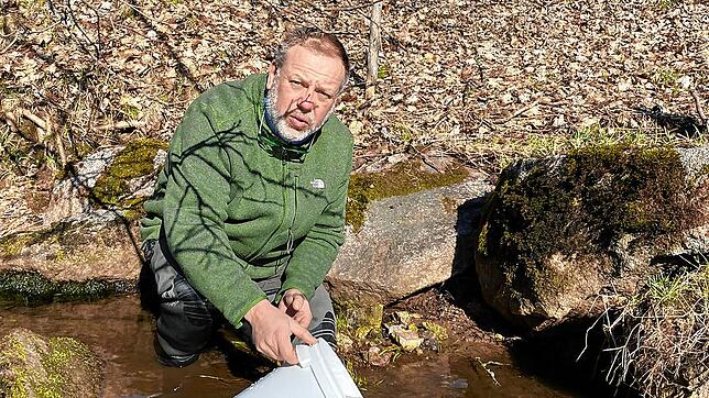 Tilo Päßler von der Anglergesellschaft Villingen beim Einsetzen der Bachforellenbrut in die Kirnach.