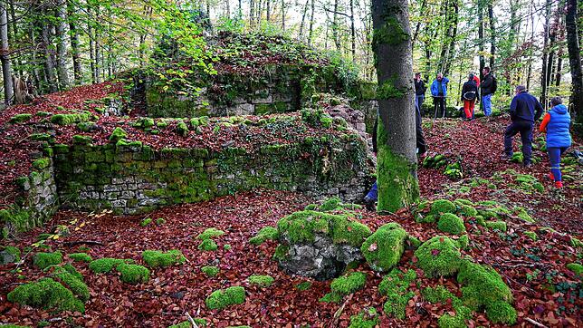 Die Mauerreste der Burganlage oberhalb von Raitbach müssen dringend gesichert werden.