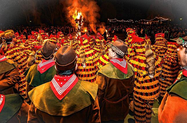 Bild 14: Fastnachtsverbrennung in Radolfzell: Die schönsten Bilder vom traditionellen Spektakel