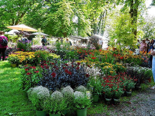Bild 14: Die schönsten Bilder von der DIGA-Gartenmesse im Bad Säckinger Schlosspark