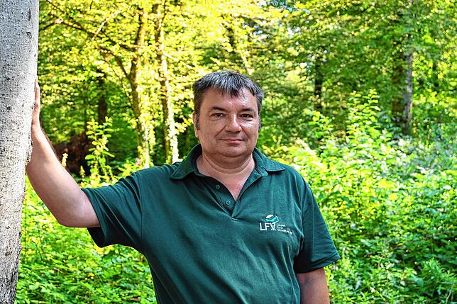 Seit über 30 Jahren ist Ralf Göhring Förster. Er zeigt, welchen Einfluss Regen auf Wald und Boden hat.