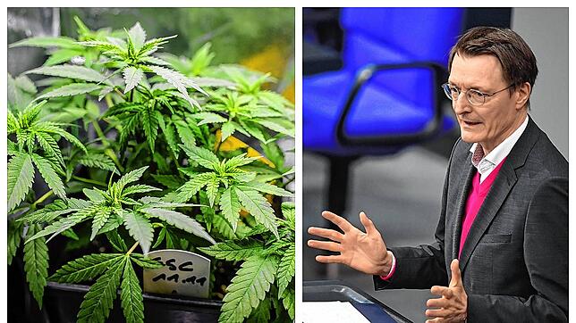 Es ist eine weitreichende Zäsur in der deutschen Drogenpolitik: Der Bundestag hat das Cannabis-Gesetz von Gesundheitsminister Karl ...