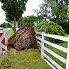In der Fürstenbergstraße liegt auch etwa eine Woche nach den Unwettern in der Nacht vom 11. auf den 12. Juli noch ein entwurzelter Baum.