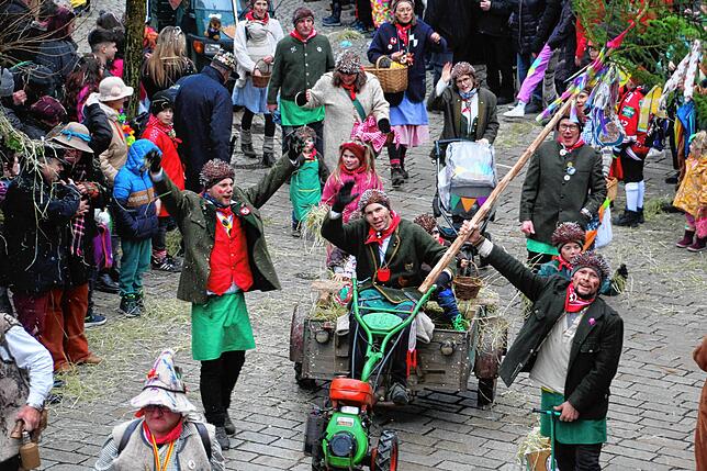 Umzug am Fasnetsmändig in Meßkirch: Die Igelswieser Igel.