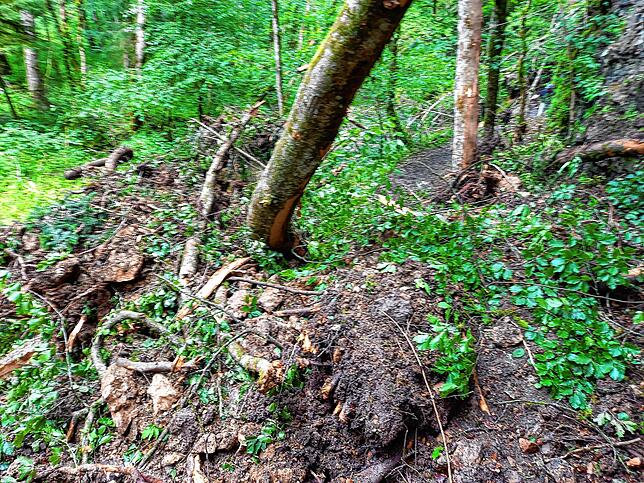 So sieht es in der Gauchachschlucht zwei Tage nach dem Baumsturz aus: Der beliebte Wanderweg vom Kanadiersteg zur Burgmühle ist durch ...