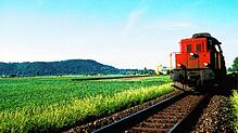 Der letzte Zug der SBB war vor vor über 25 Jahren auf der Strecke Singen-Etzwillen anno 1996 unterwegs. Danach sollte die Strecke nach ...