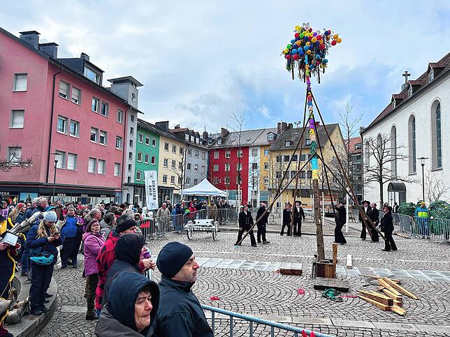 Noch ein Baum im neuen Hain, wenn auch nur für kurze Zeit.