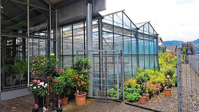 Hagelschaden: Die Gewächshäuser vom Blumenhaus Ruf in der Weihermattenstraße hat es getroffen.