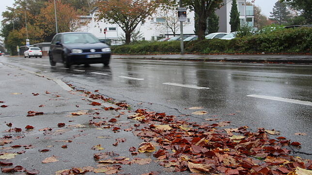 Beispielsweise Nässe und rutschiges Herbstlaub machen kalte Jahreshälfte für Autofahrer gefährlich.